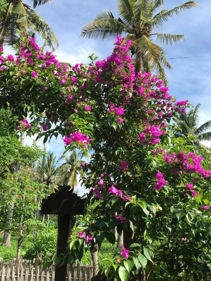 Meno Madia Bungalows Ilhas Gili Exterior foto