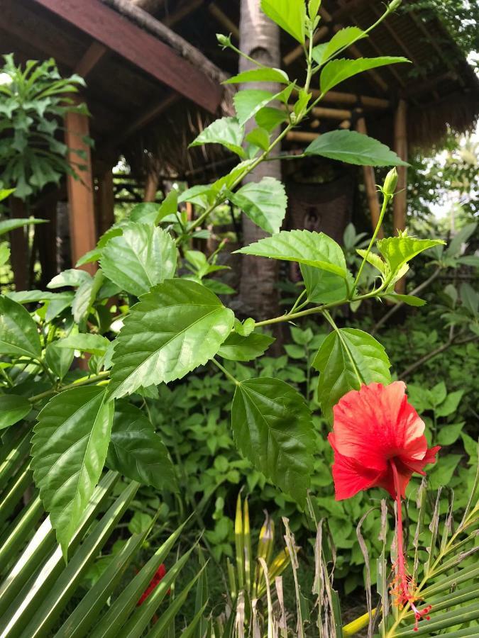 Meno Madia Bungalows Ilhas Gili Exterior foto